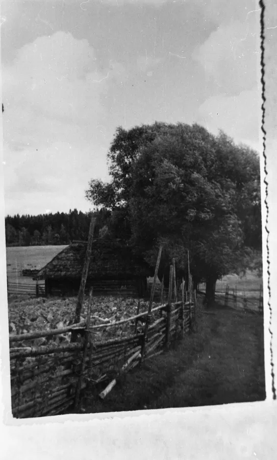 Pirtiņa